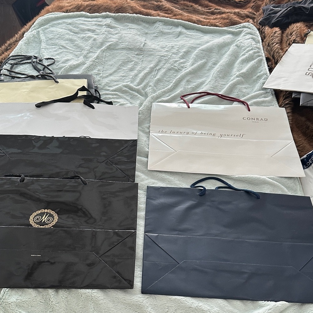 8 Assorted Empty Designer Shopping Bags - Picture 10 of 11